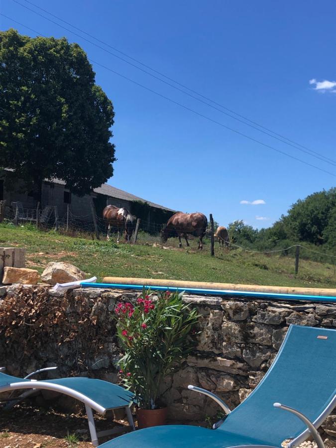 La Ferme De La Truffe Chambres D Hotes Cuzance 외부 사진